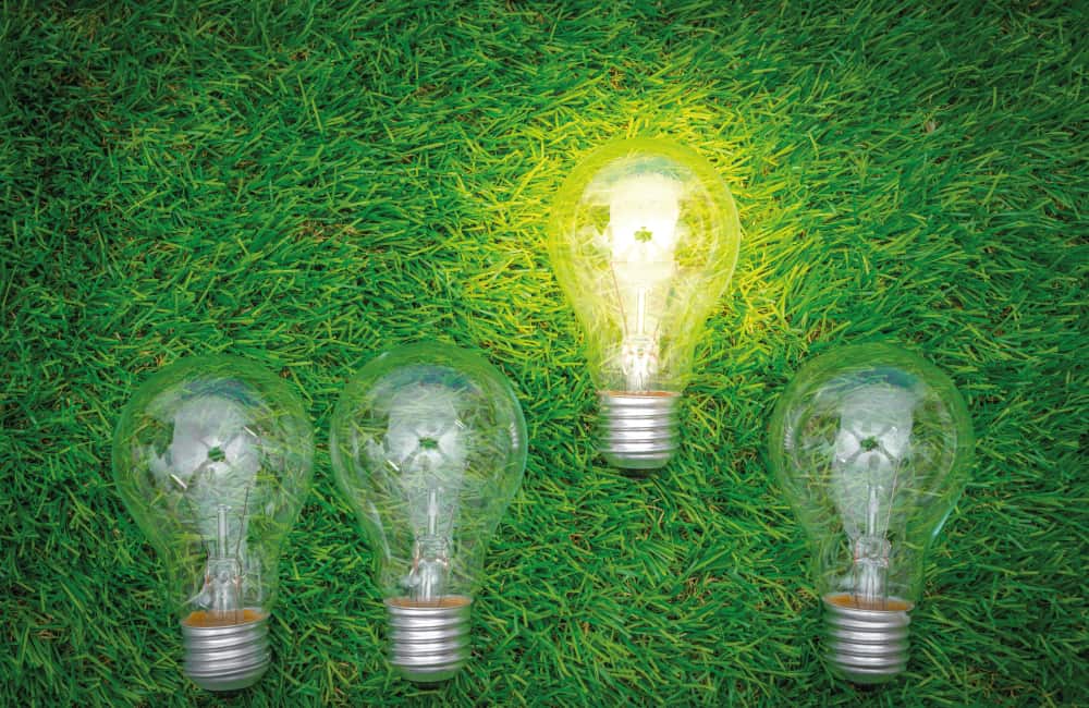 Lighting the Way to Sustainability